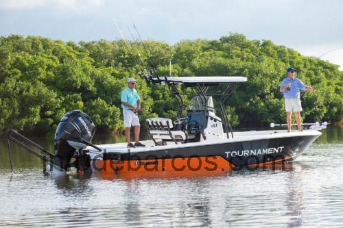 Wellcraft 241 Fisherman ficha técnica y opiniones